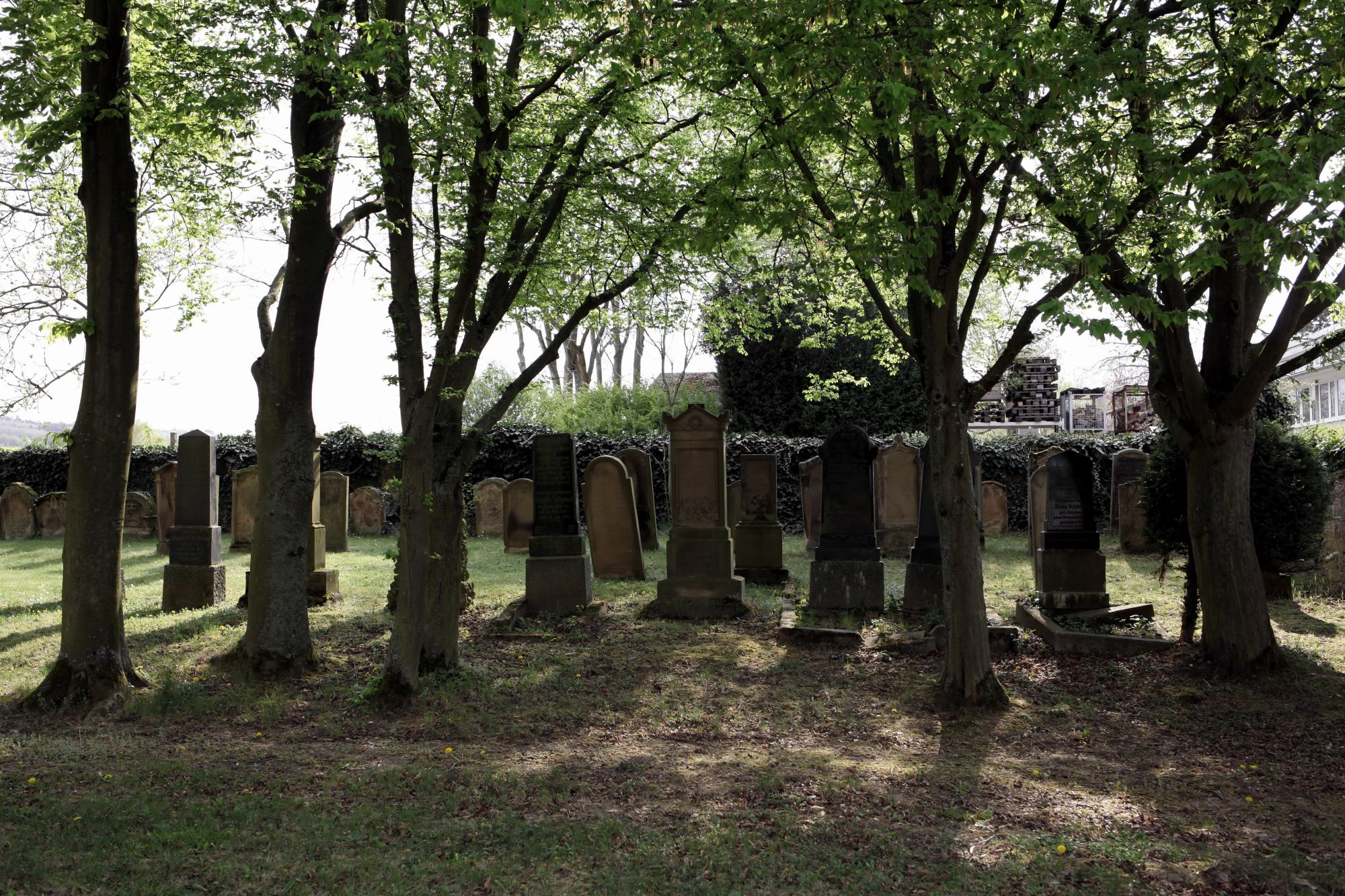 Der jüdische Friedhof in SteinBockenheim (VG Wöllstein, Landkreis